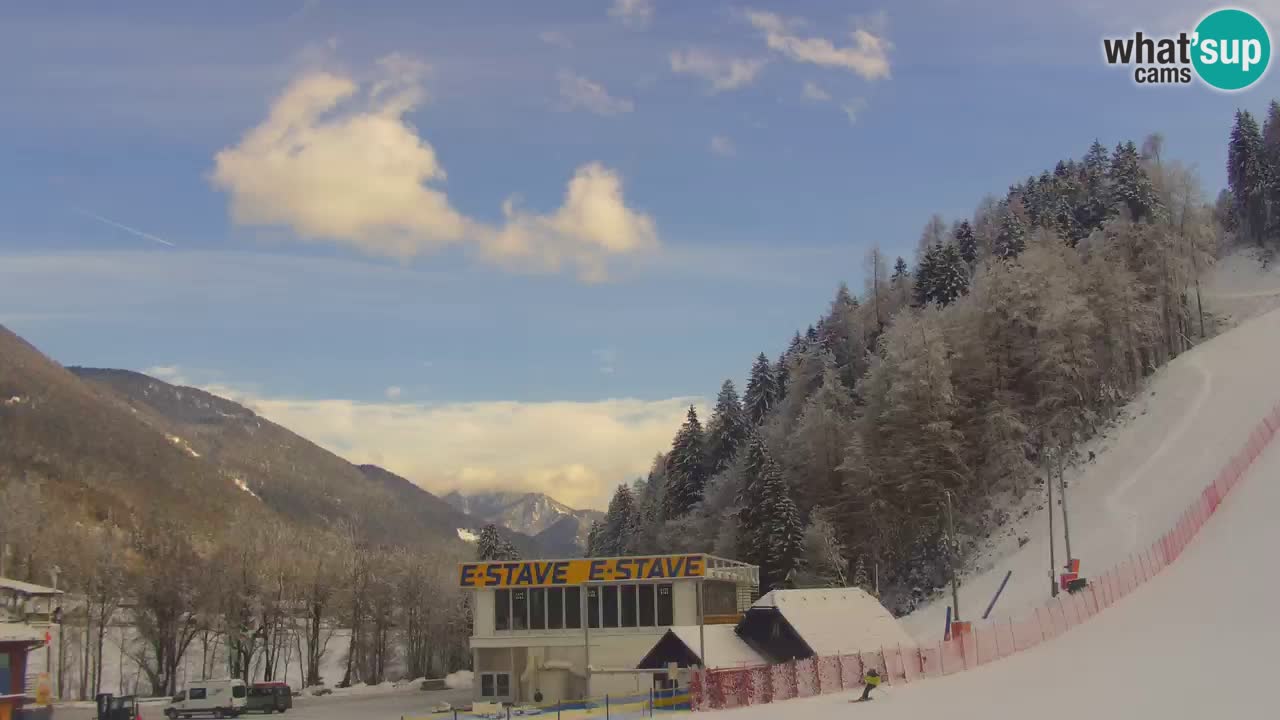 Podkoren / Kranjska Gora – Ziel Riesenslalom