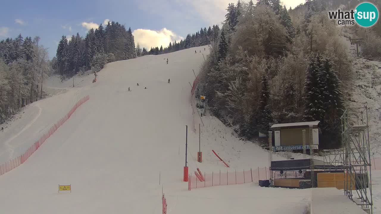 Podkoren / Kranjska Gora – Arrivee slalom géant