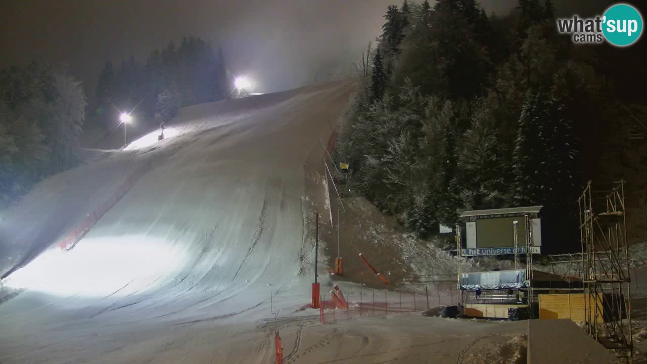 Podkoren / Kranjska Gora – Ziel Riesenslalom