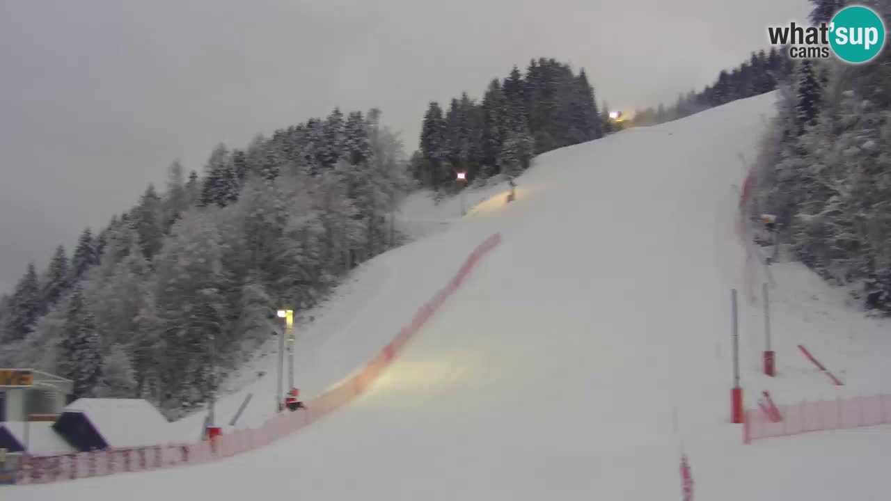 Podkoren / Kranjska Gora – Ziel Riesenslalom