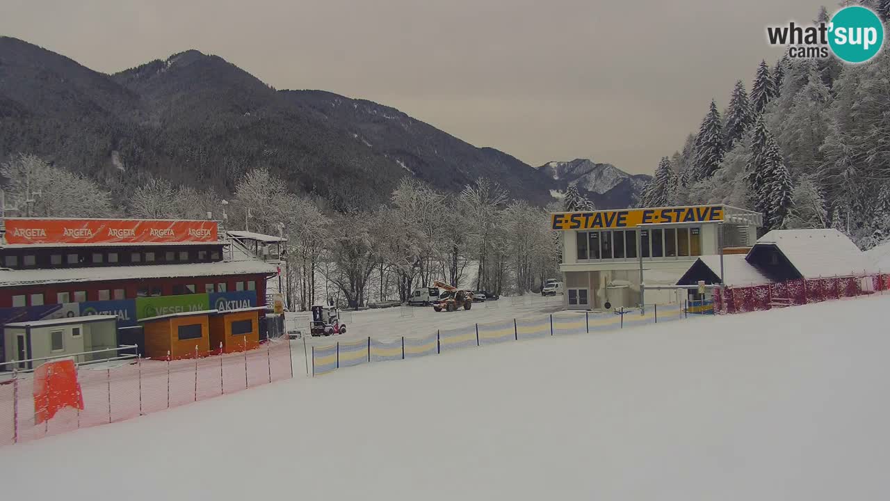 Podkoren / Kranjska Gora – Arrivee slalom géant