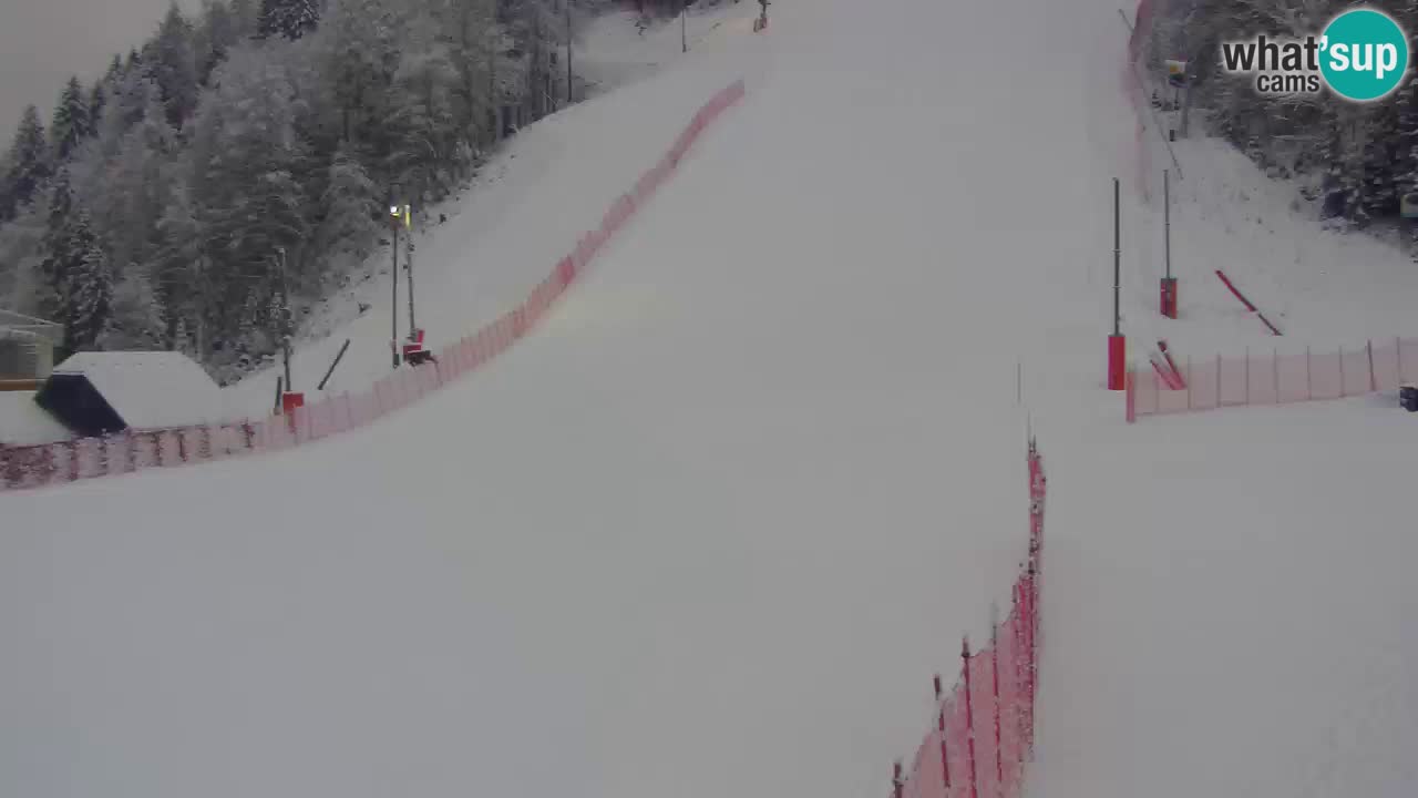 Podkoren Webcam Kranjska Gora | Finish of Giant slalom