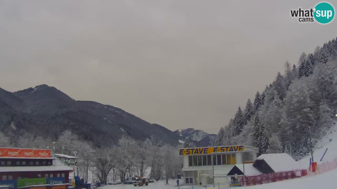 Podkoren Webcam Kranjska Gora | Finish of Giant slalom