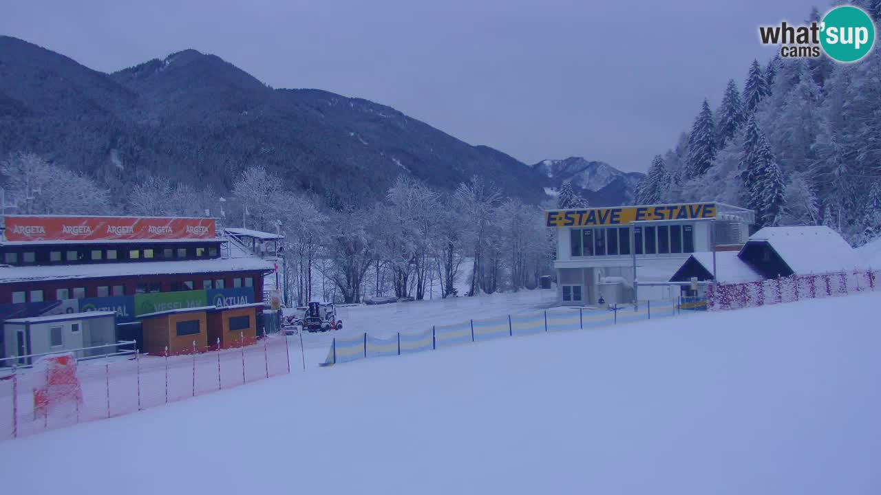 Podkoren Webcam Kranjska Gora | Finish of Giant slalom