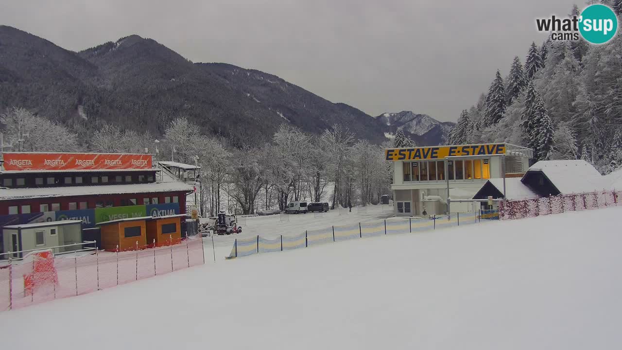 Podkoren / Kranjska Gora –  Meta Slalom gigante