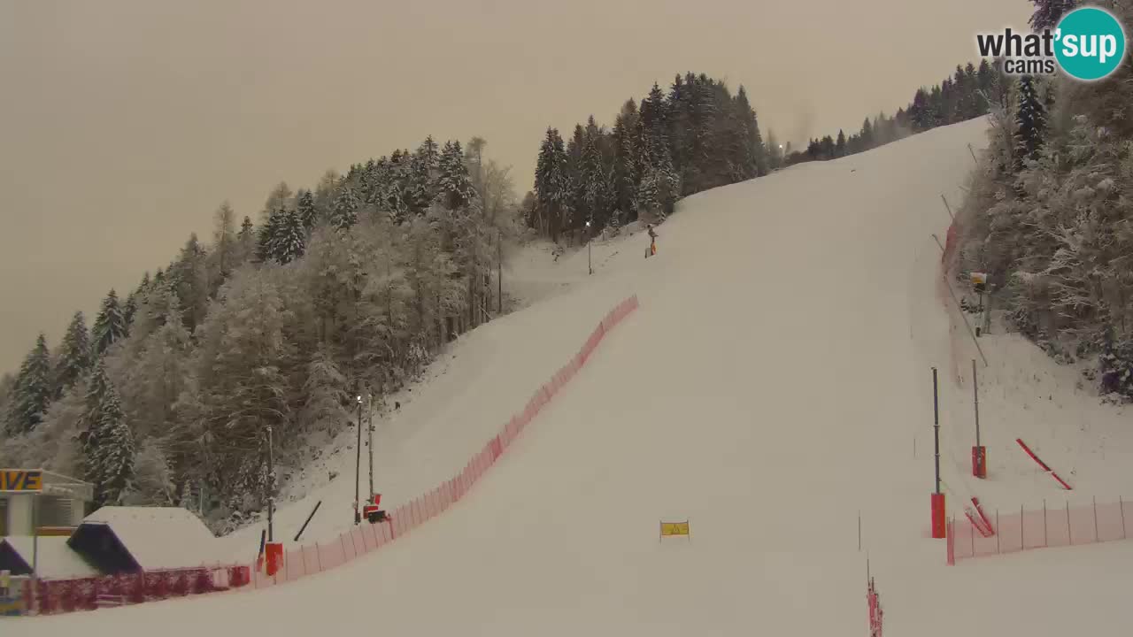 Podkoren slalom géant | Start – Kranjska Gora