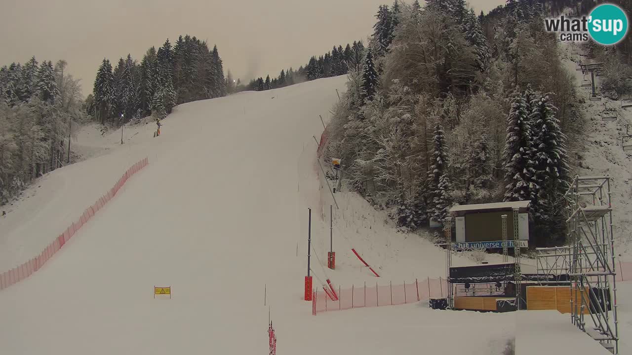 Podkoren Webcam Kranjska Gora | Finish of Giant slalom