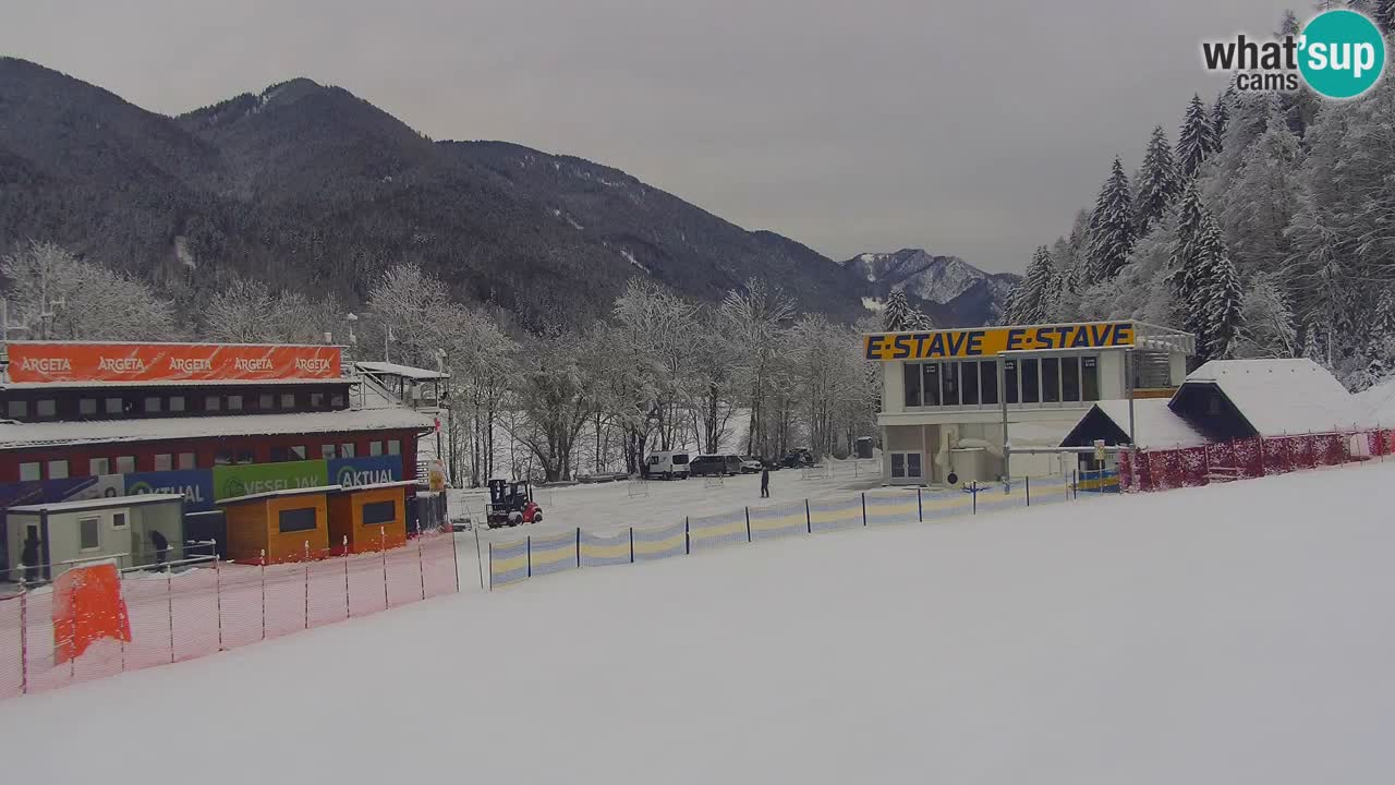 Podkoren slalom géant | Start – Kranjska Gora