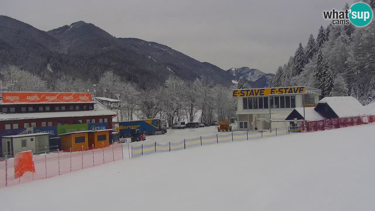 Podkoren slalom géant | Start – Kranjska Gora