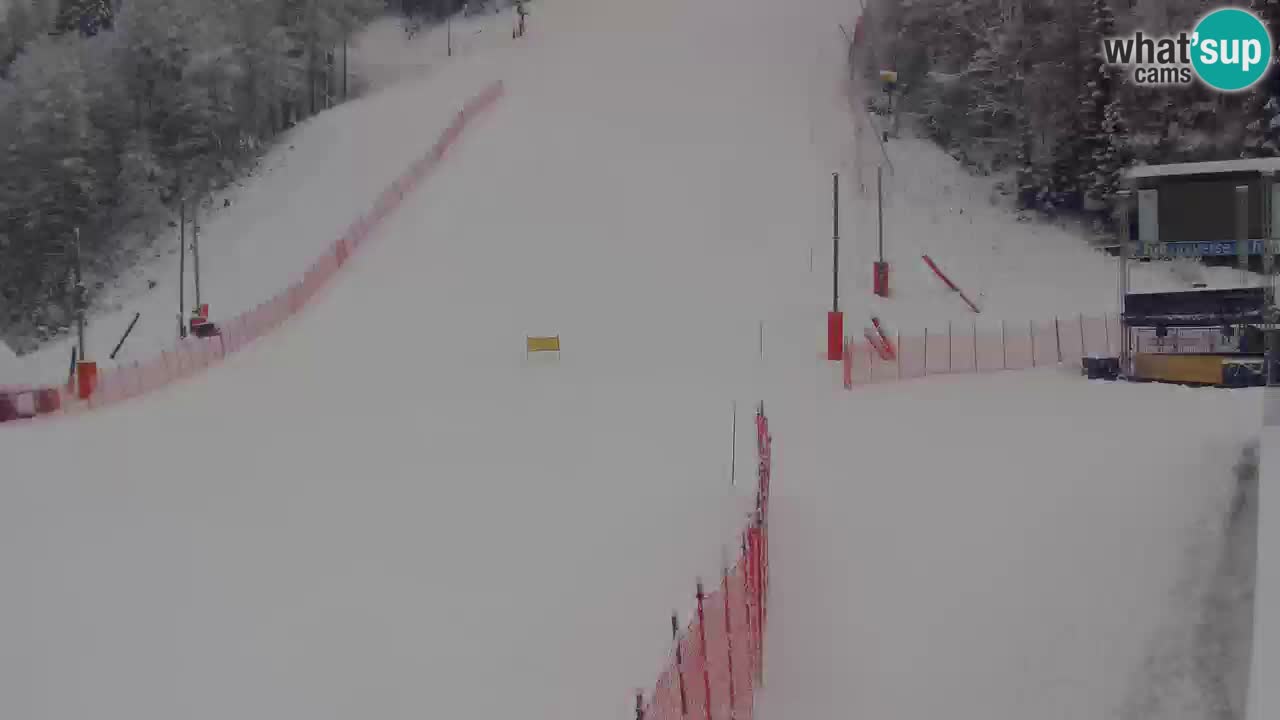 Podkoren slalom géant | Start – Kranjska Gora