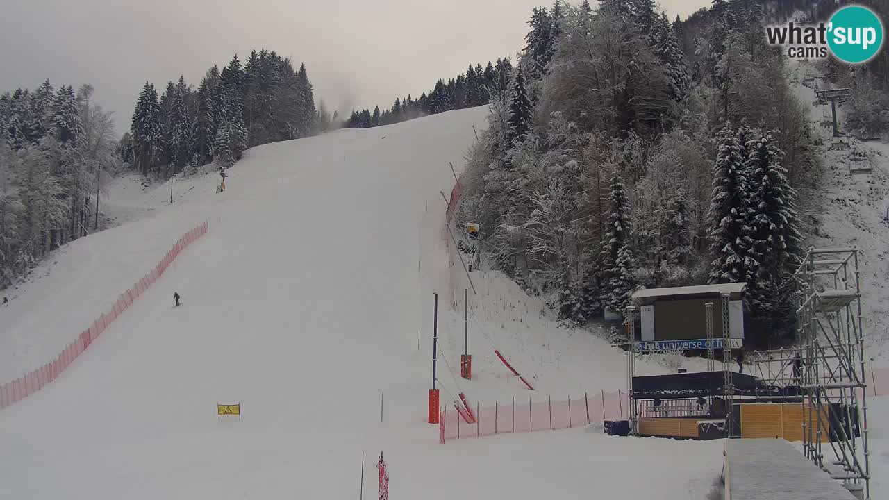 Podkoren Webcam Kranjska Gora | Finish of Giant slalom