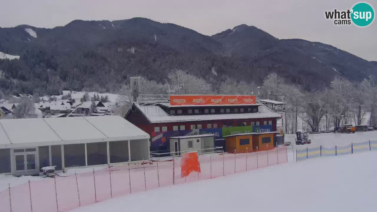 Podkoren Webcam Kranjska Gora | Finish of Giant slalom