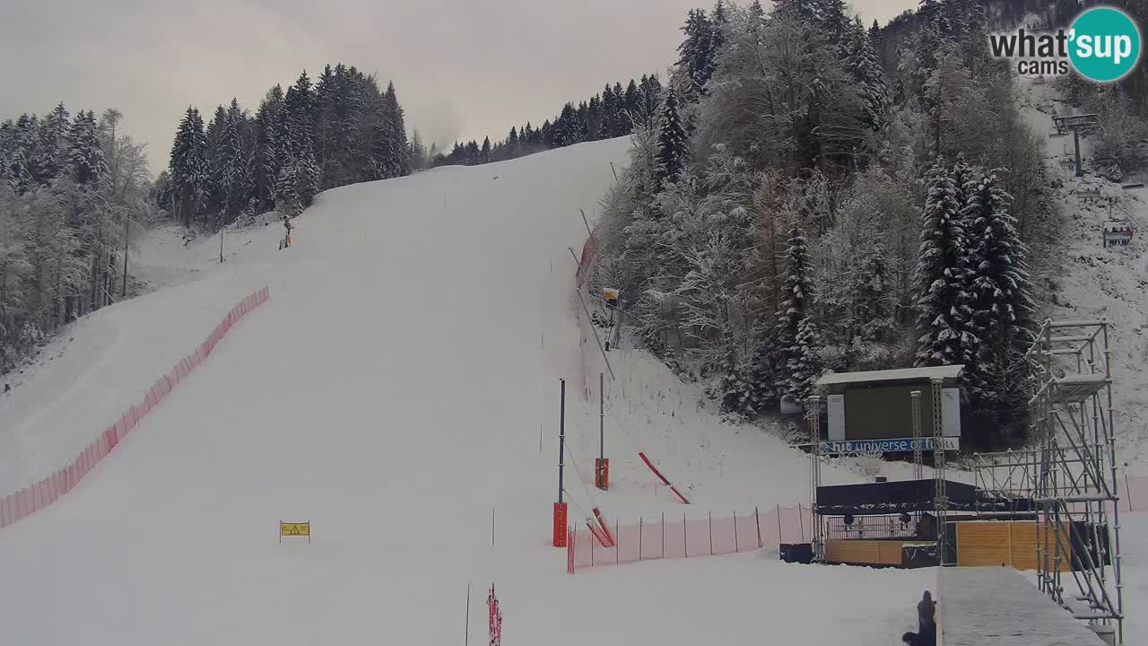 Podkoren / Kranjska Gora – Ziel Riesenslalom