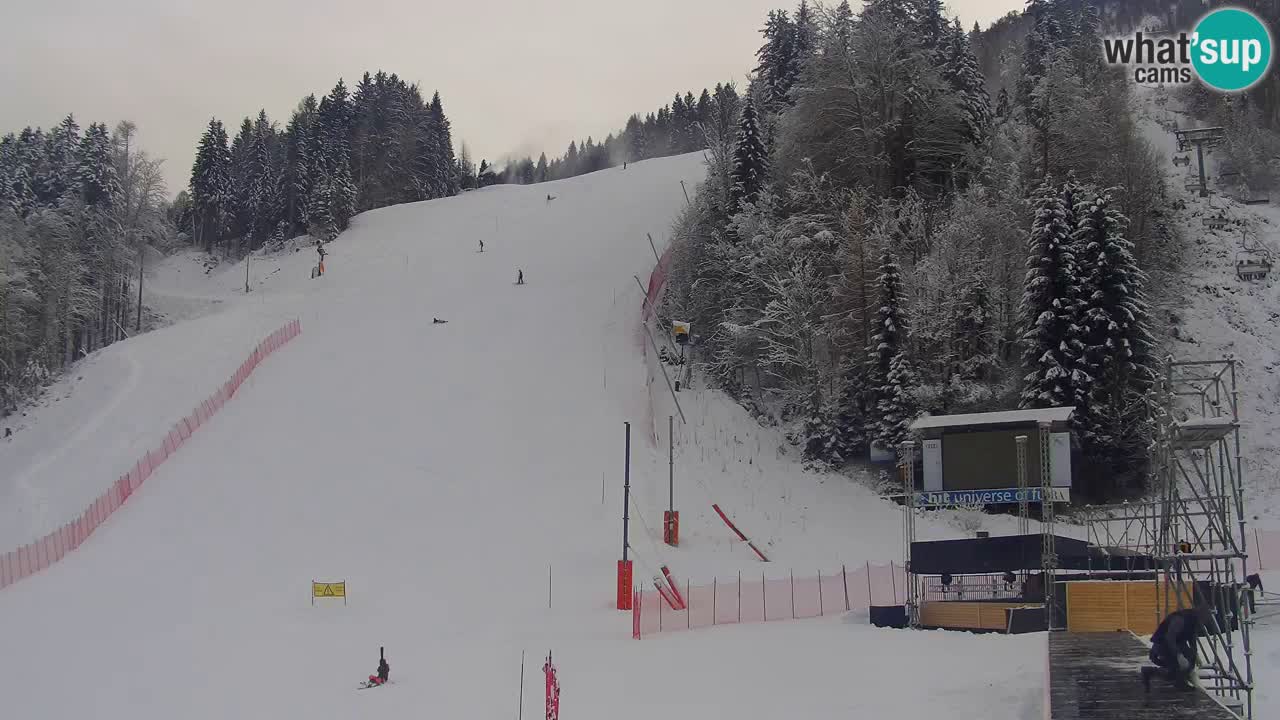 Podkoren Webcam Kranjska Gora | Finish of Giant slalom