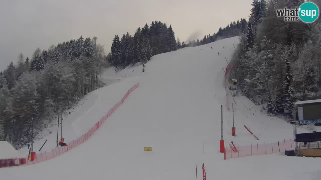 Podkoren Webcam Kranjska Gora | Finish of Giant slalom