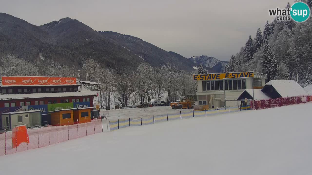 Podkoren / Kranjska Gora – Arrivee slalom géant