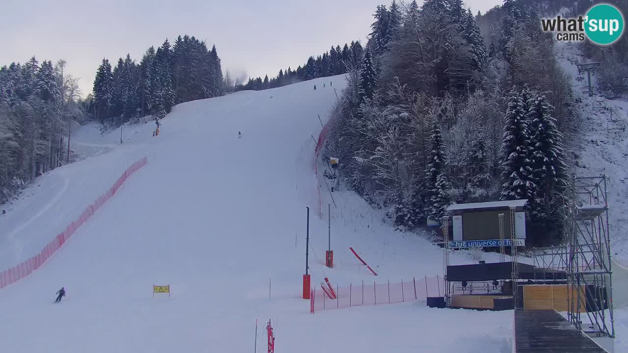 Podkoren / Kranjska Gora – Arrivee slalom géant