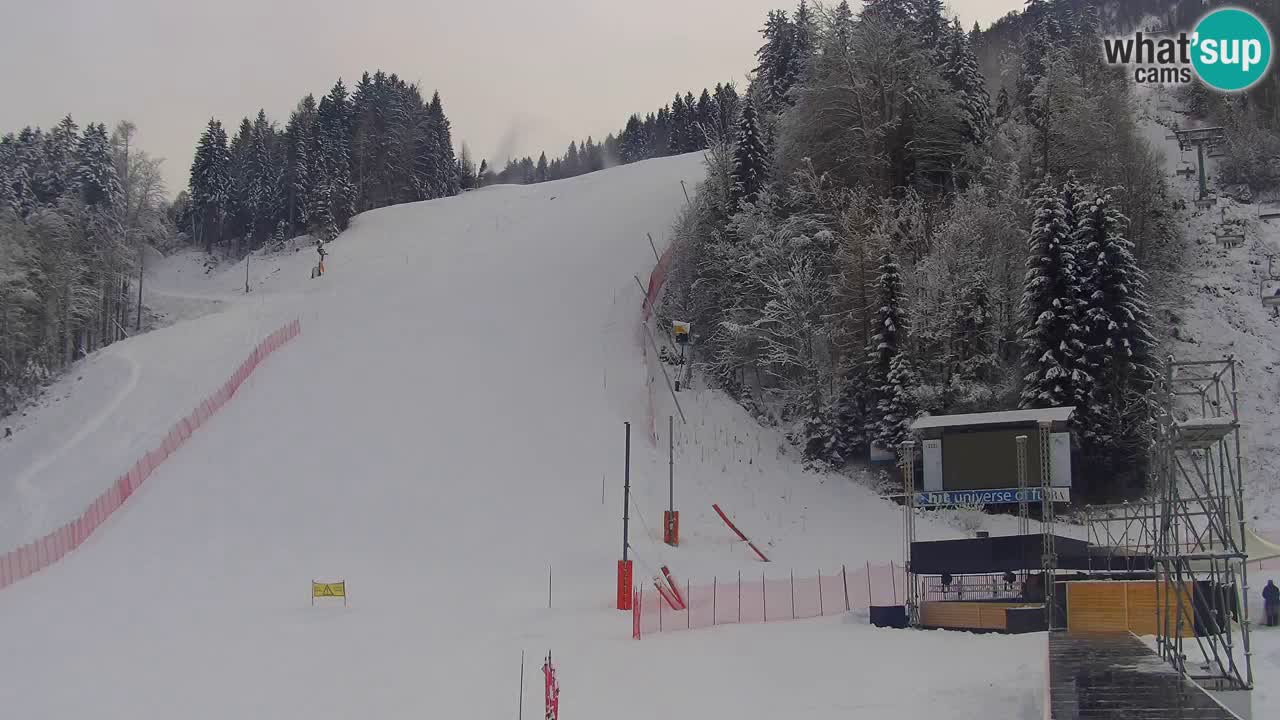 Podkoren / Kranjska Gora – Arrivee slalom géant