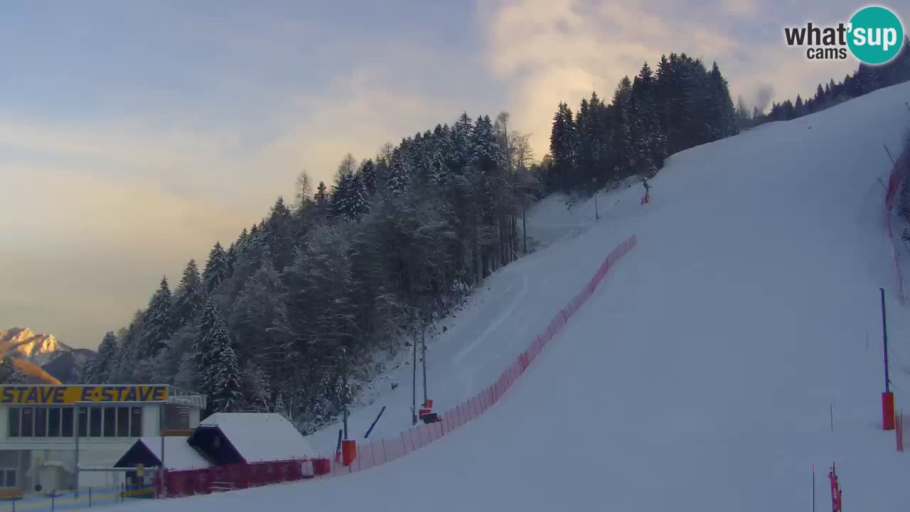 Podkoren slalom géant | Start – Kranjska Gora