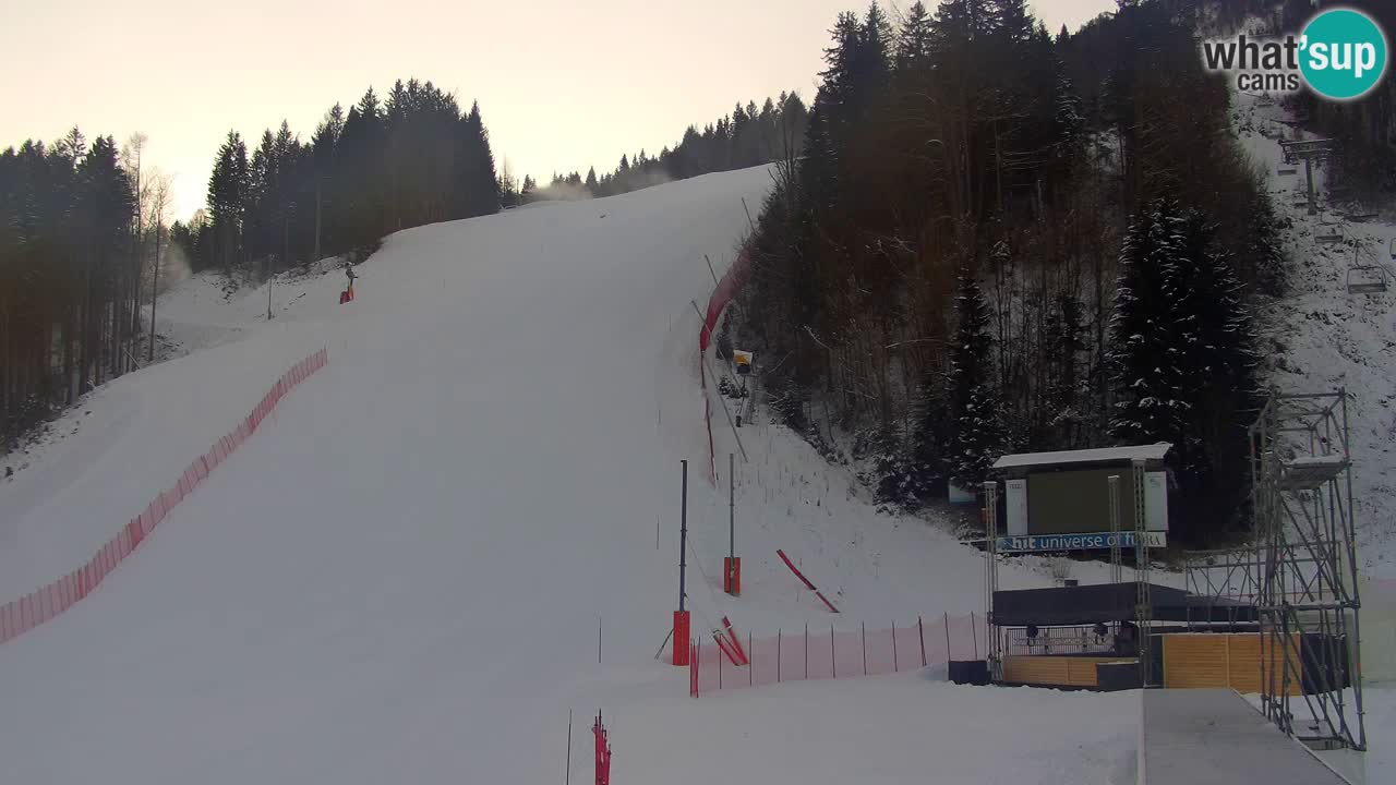 Podkoren / Kranjska Gora –  Meta Slalom gigante