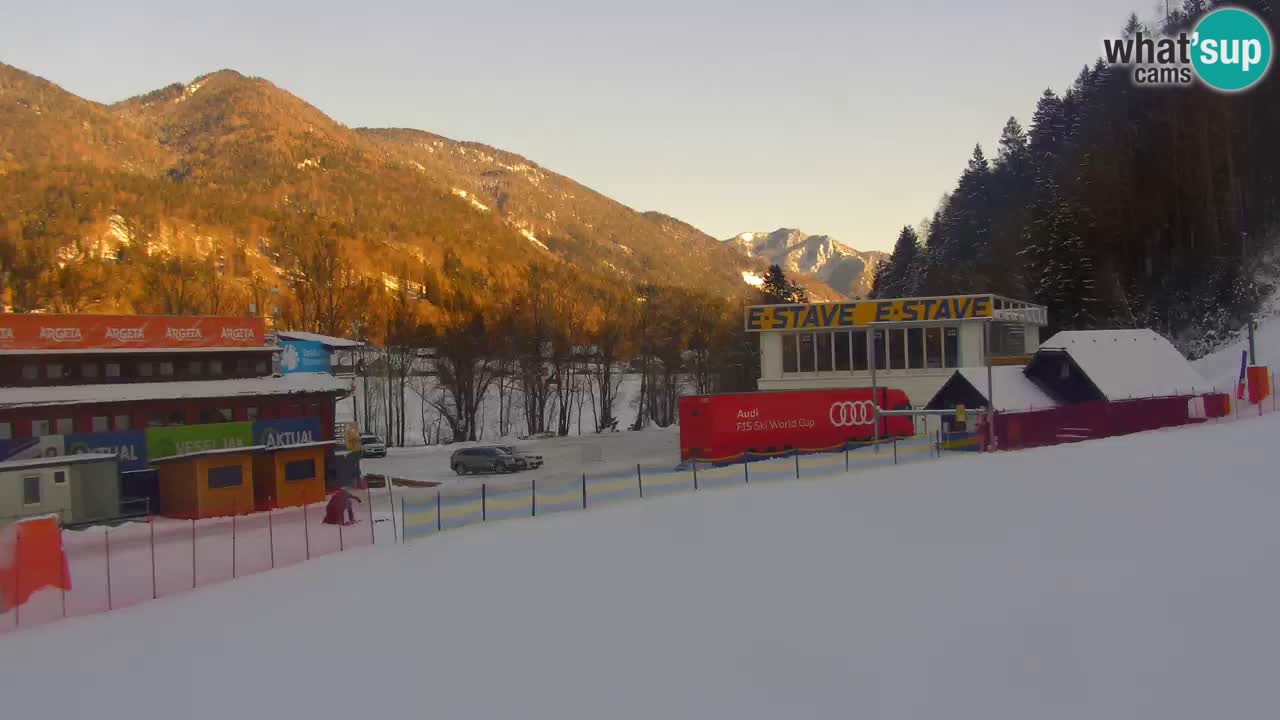 Podkoren / Kranjska Gora – Arrivo slalom gigante