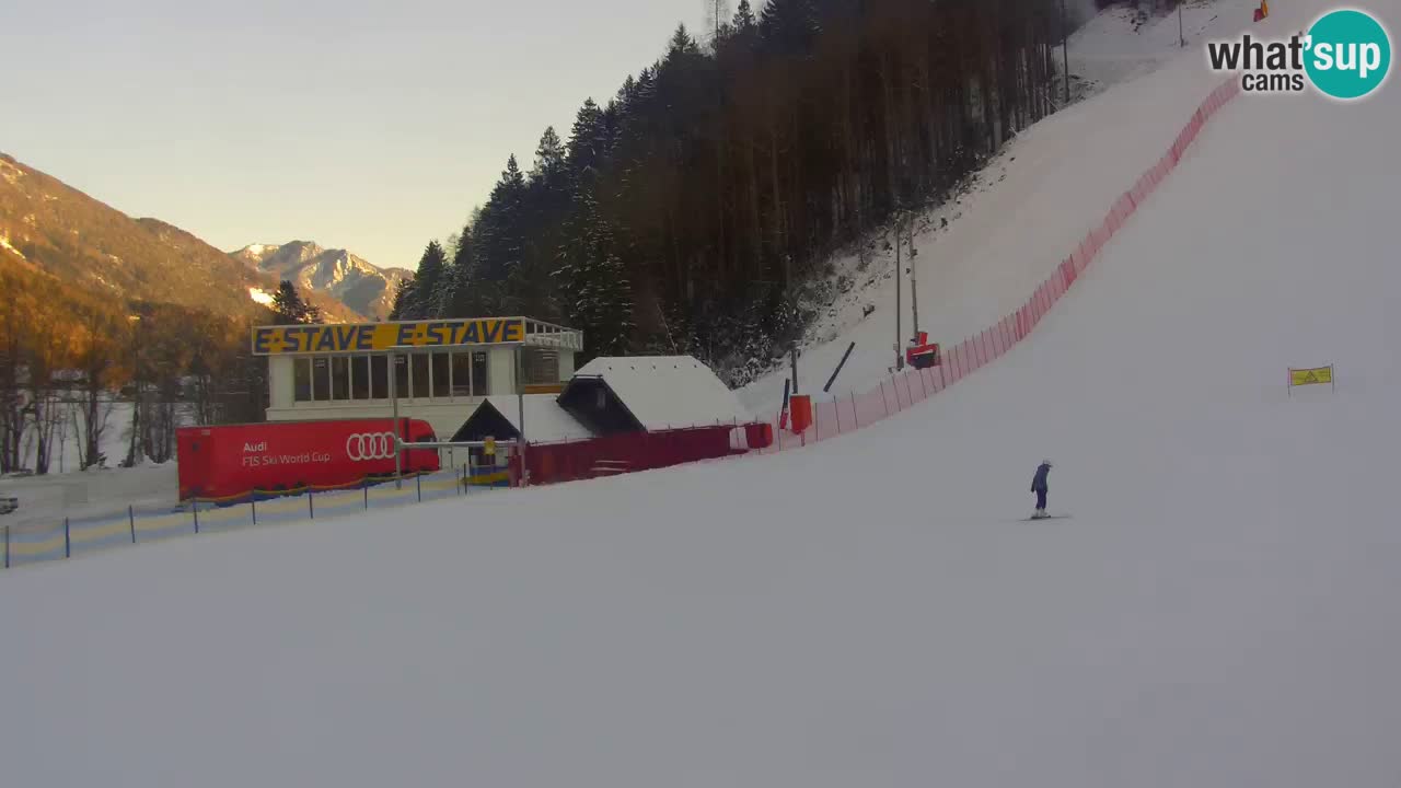 Podkoren / Kranjska Gora – Arrivo slalom gigante