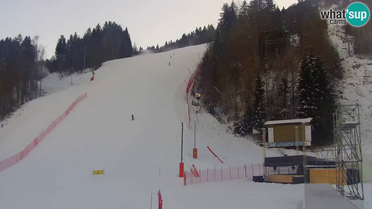 Podkoren / Kranjska Gora – Arrivo slalom gigante