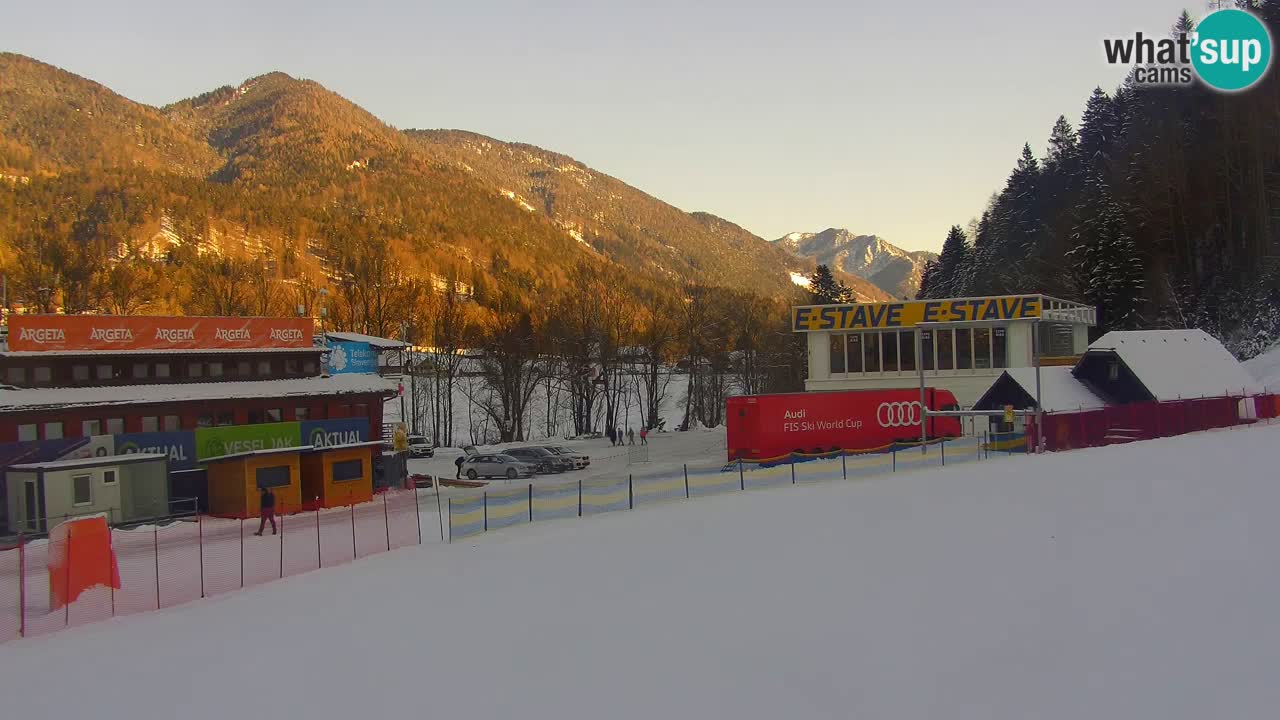 Podkoren / Kranjska Gora – Arrivo slalom gigante