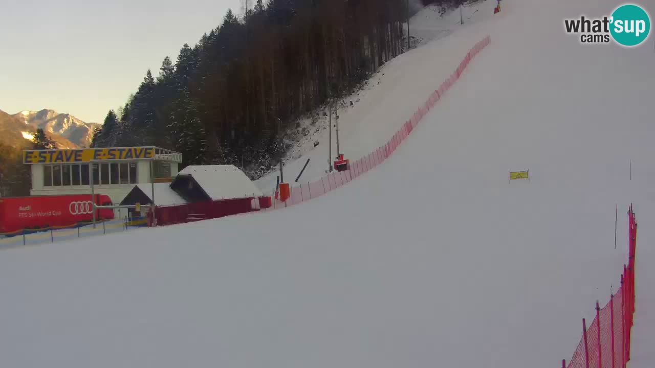 Podkoren / Kranjska Gora – Arrivo slalom gigante