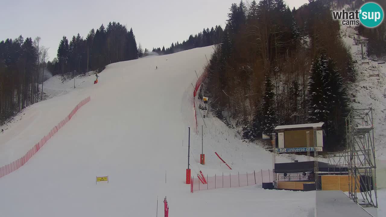 Podkoren / Kranjska Gora –  Meta Slalom gigante