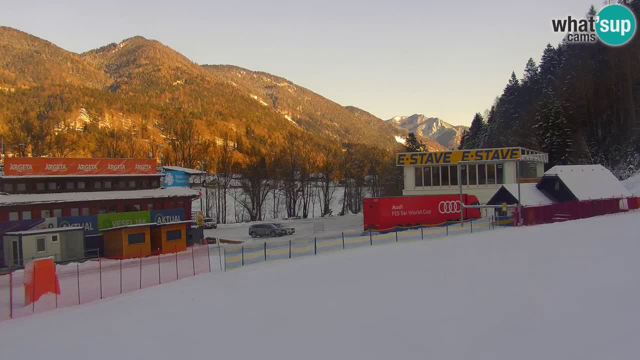 Podkoren / Kranjska Gora – Arrivo slalom gigante