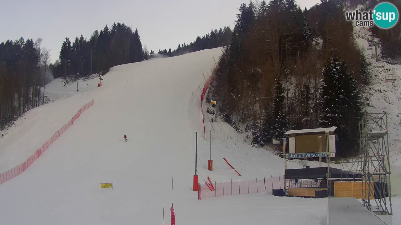 Podkoren / Kranjska Gora – Arrivo slalom gigante