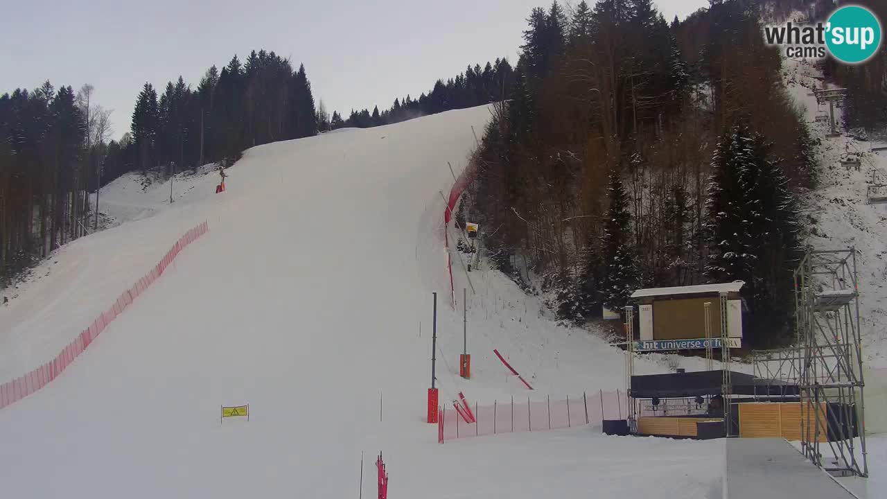 Podkoren Webcam Kranjska Gora | Finish of Giant slalom