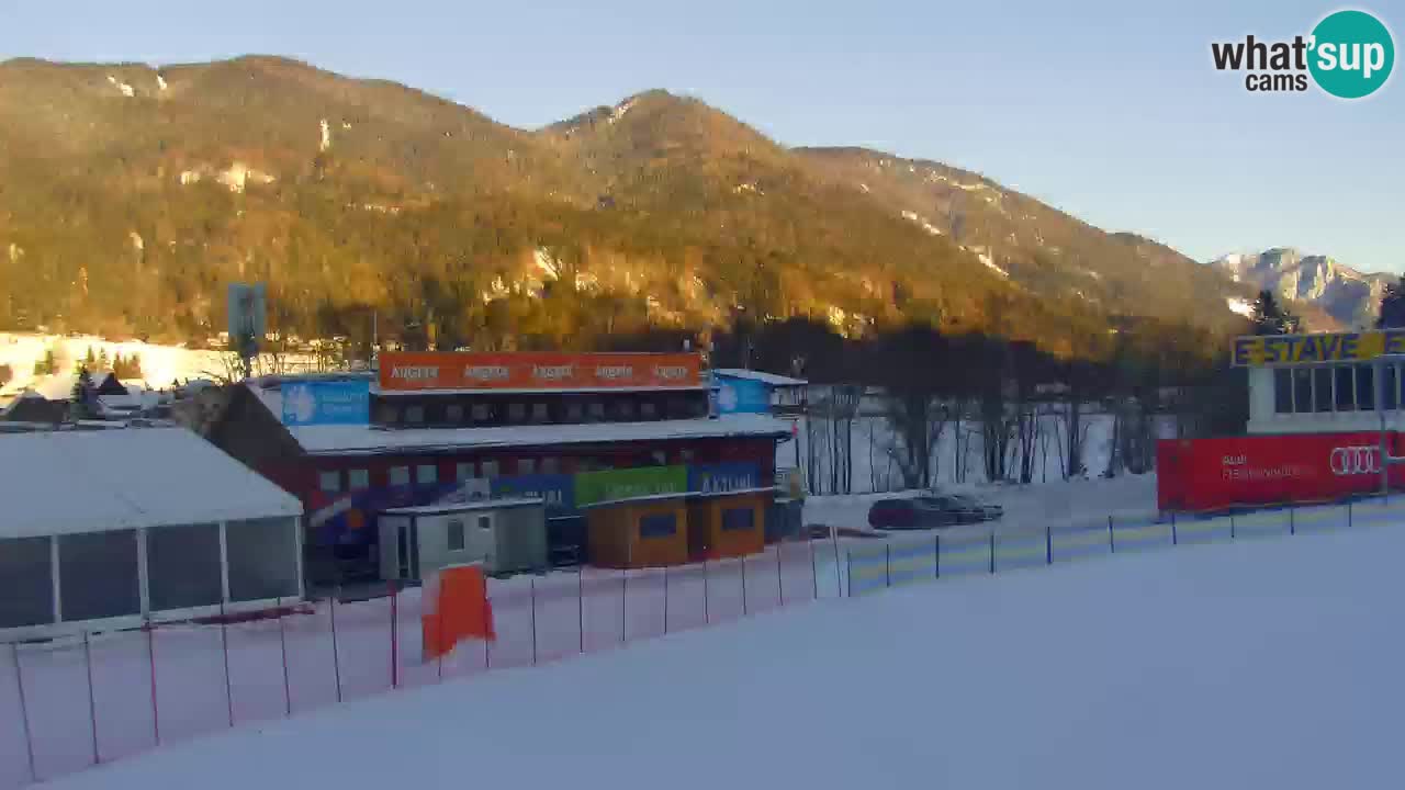 Podkoren Webcam Kranjska Gora | Finish of Giant slalom