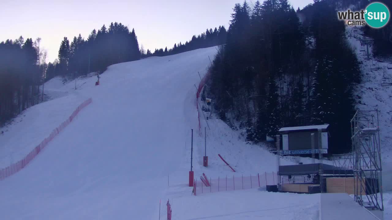 Podkoren slalom géant | Start – Kranjska Gora