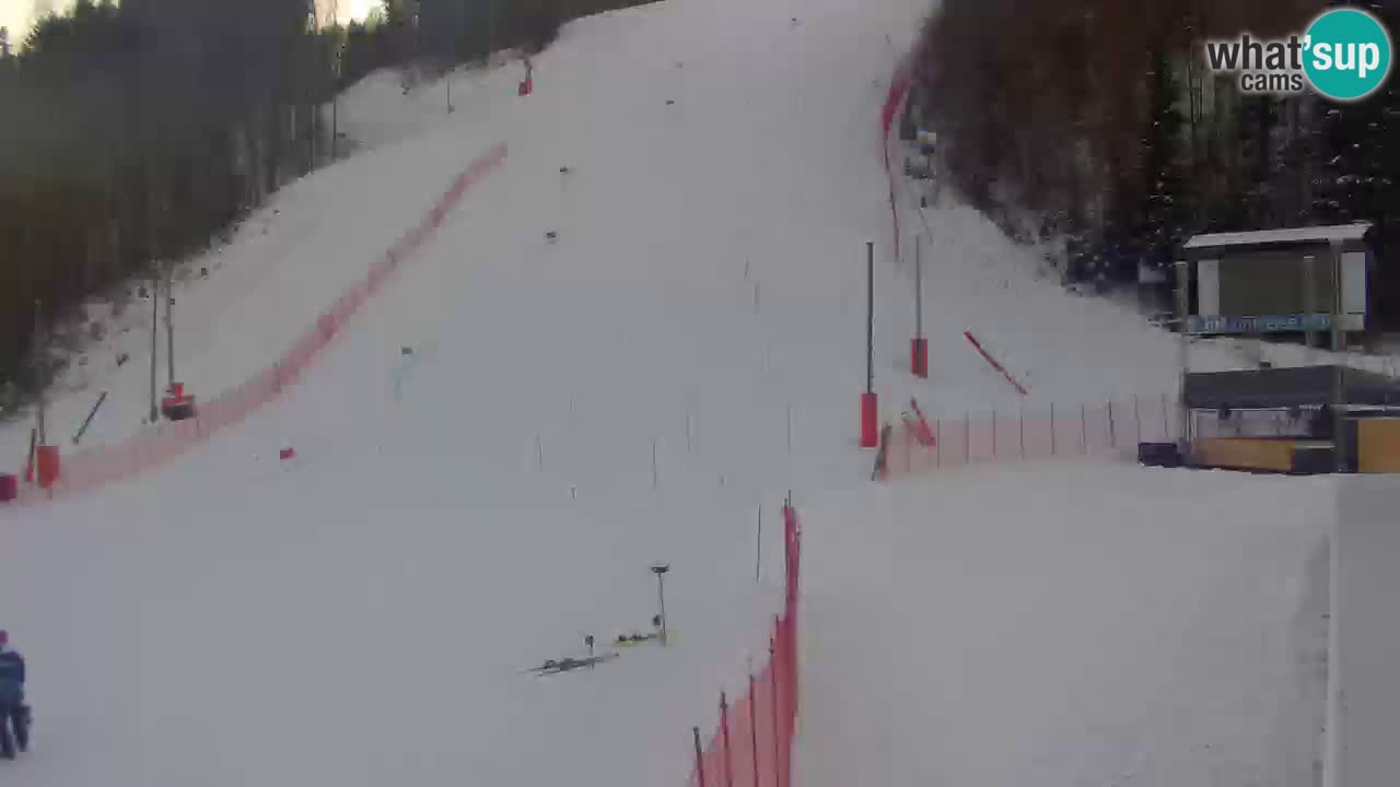 Podkoren / Kranjska Gora – Ziel Riesenslalom