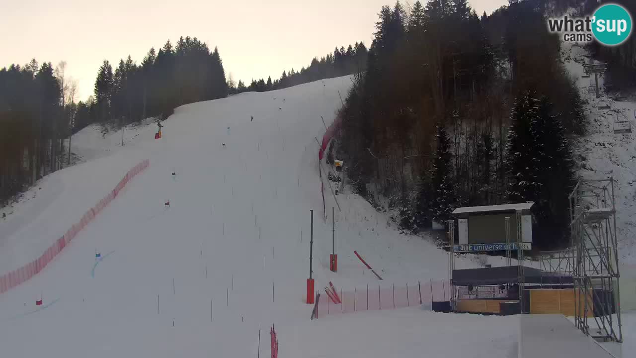 Podkoren Webcam Kranjska Gora | Finish of Giant slalom