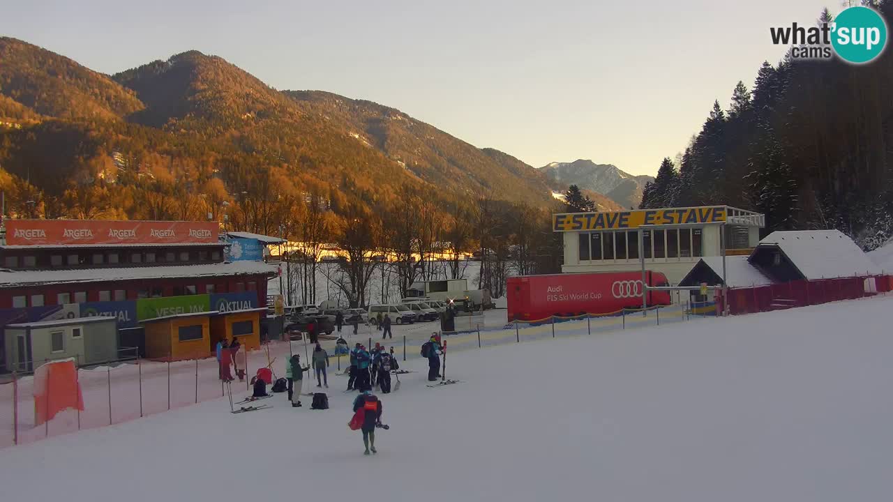 Podkoren Webcam Kranjska Gora | Finish of Giant slalom