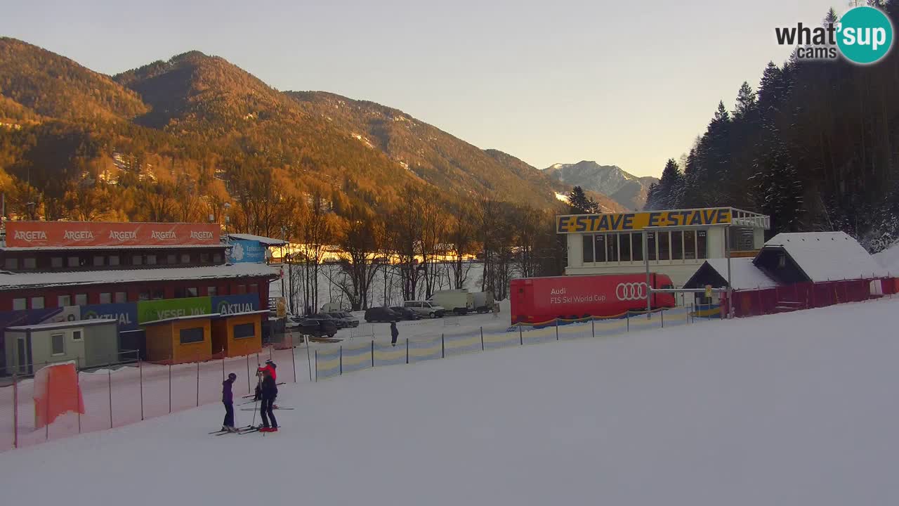 Podkoren Webcam Kranjska Gora | Finish of Giant slalom