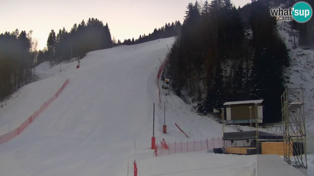 Podkoren / Kranjska Gora – Arrivo slalom gigante