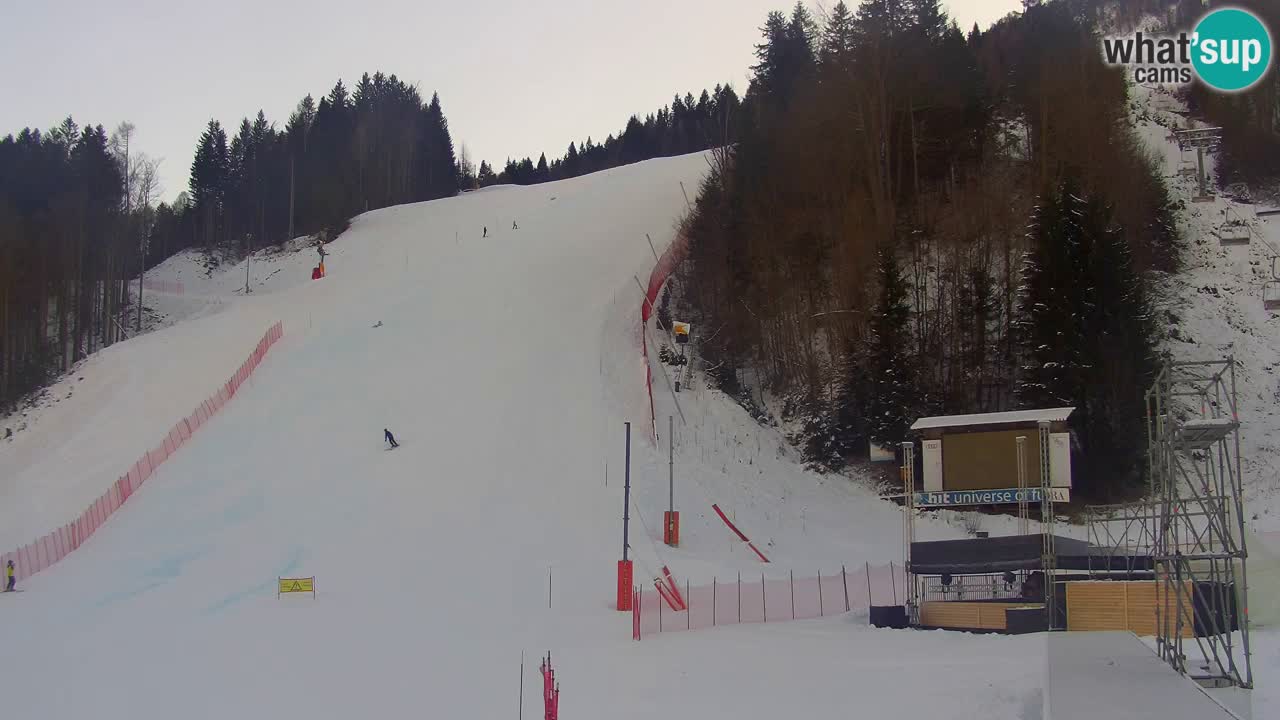 Podkoren Webcam Kranjska Gora | Finish of Giant slalom