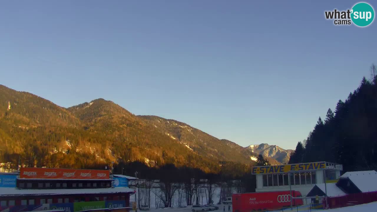 Podkoren Webcam Kranjska Gora | Finish of Giant slalom