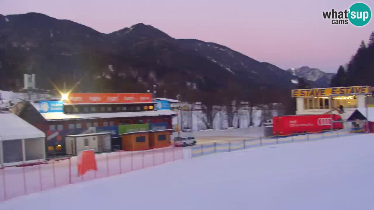 Podkoren Webcam Kranjska Gora | Finish of Giant slalom