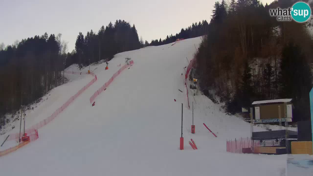 Podkoren / Kranjska Gora –  Meta Slalom gigante