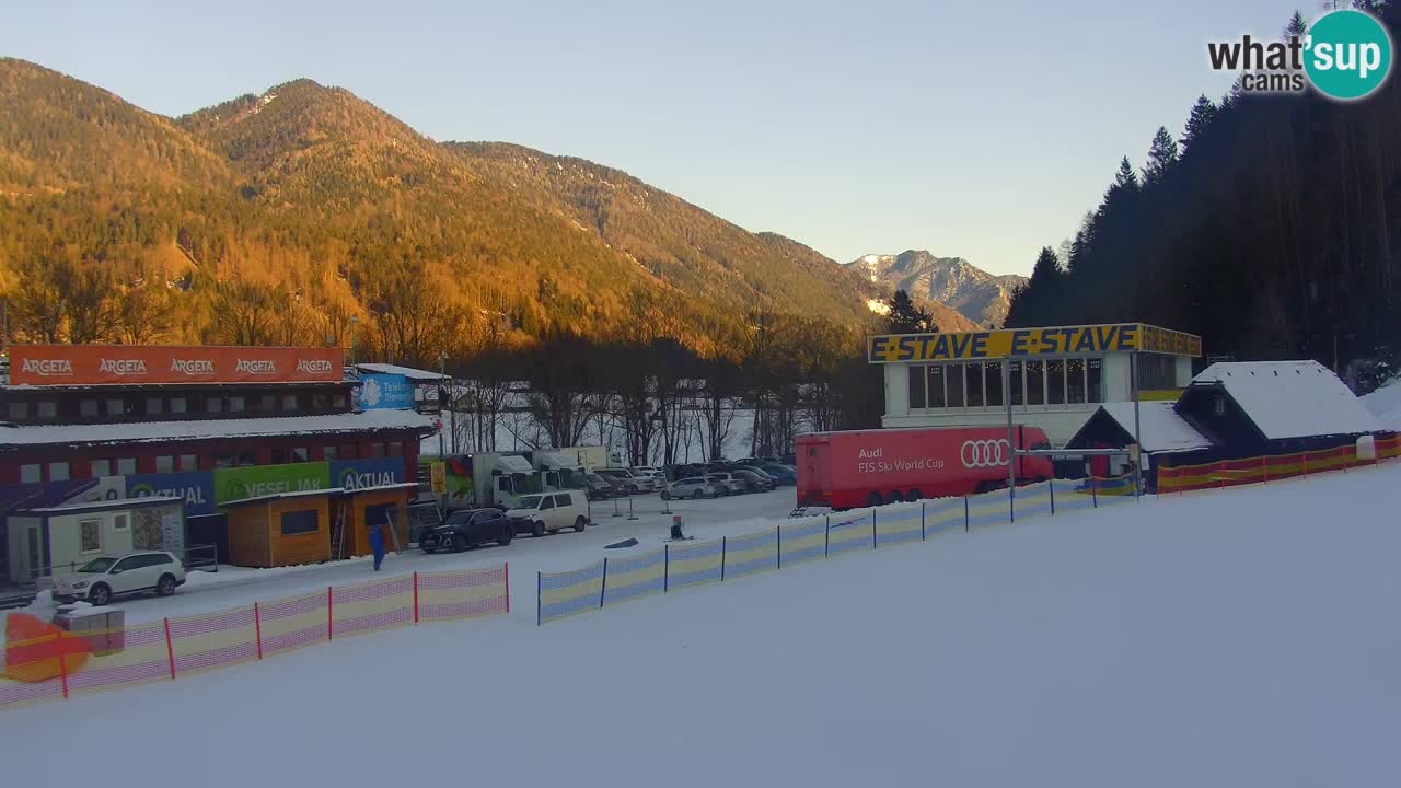 Podkoren / Kranjska Gora – Arrivo slalom gigante