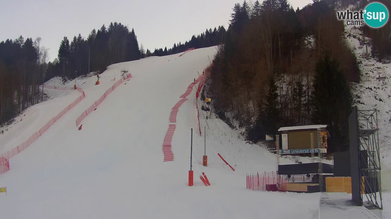 Podkoren / Kranjska Gora – Arrivee slalom géant