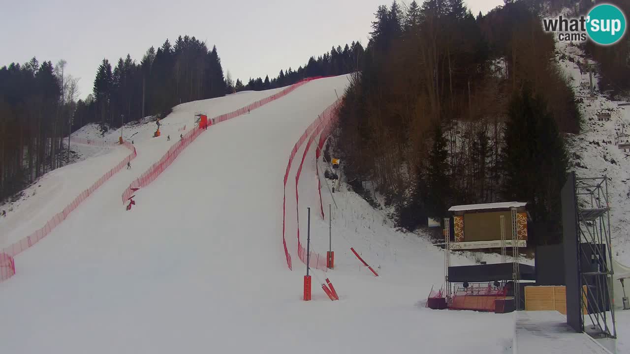 Podkoren slalom géant | Start – Kranjska Gora