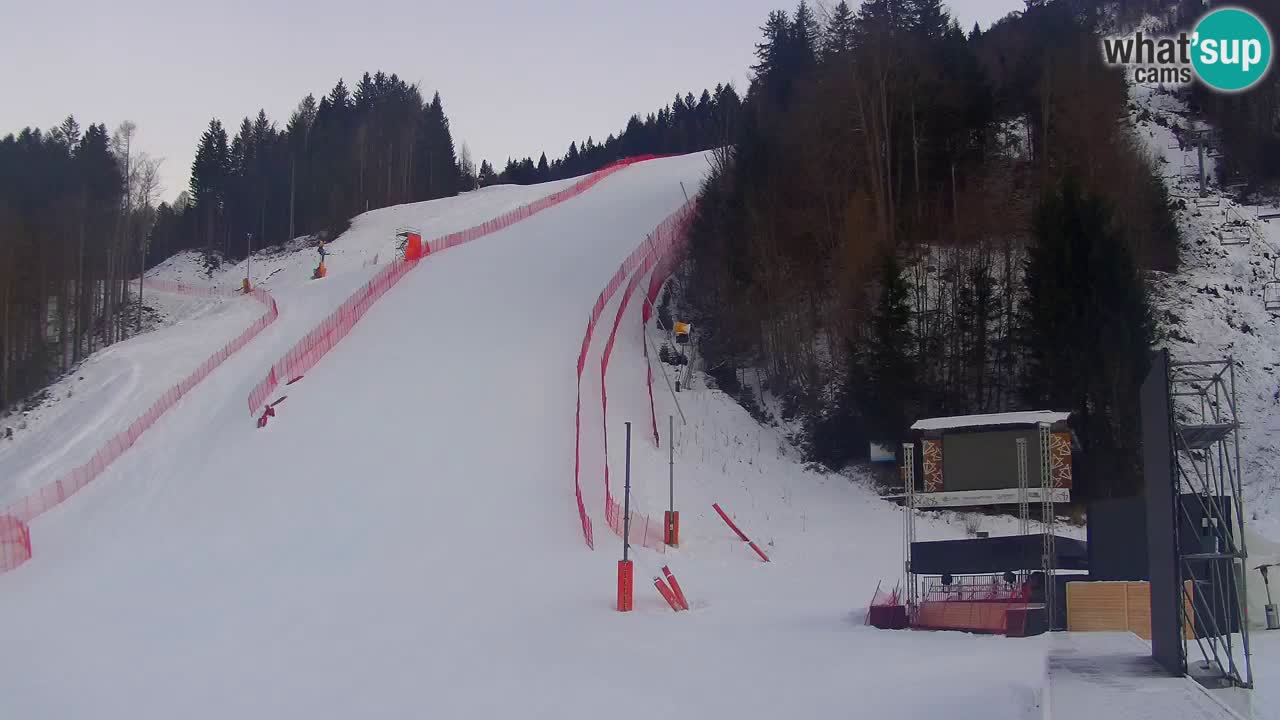 Podkoren / Kranjska Gora – Ziel Riesenslalom