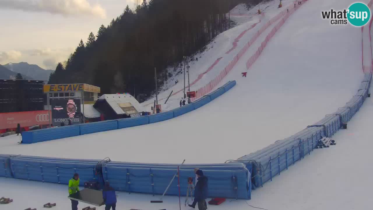 Podkoren / Kranjska Gora –  Meta Slalom gigante