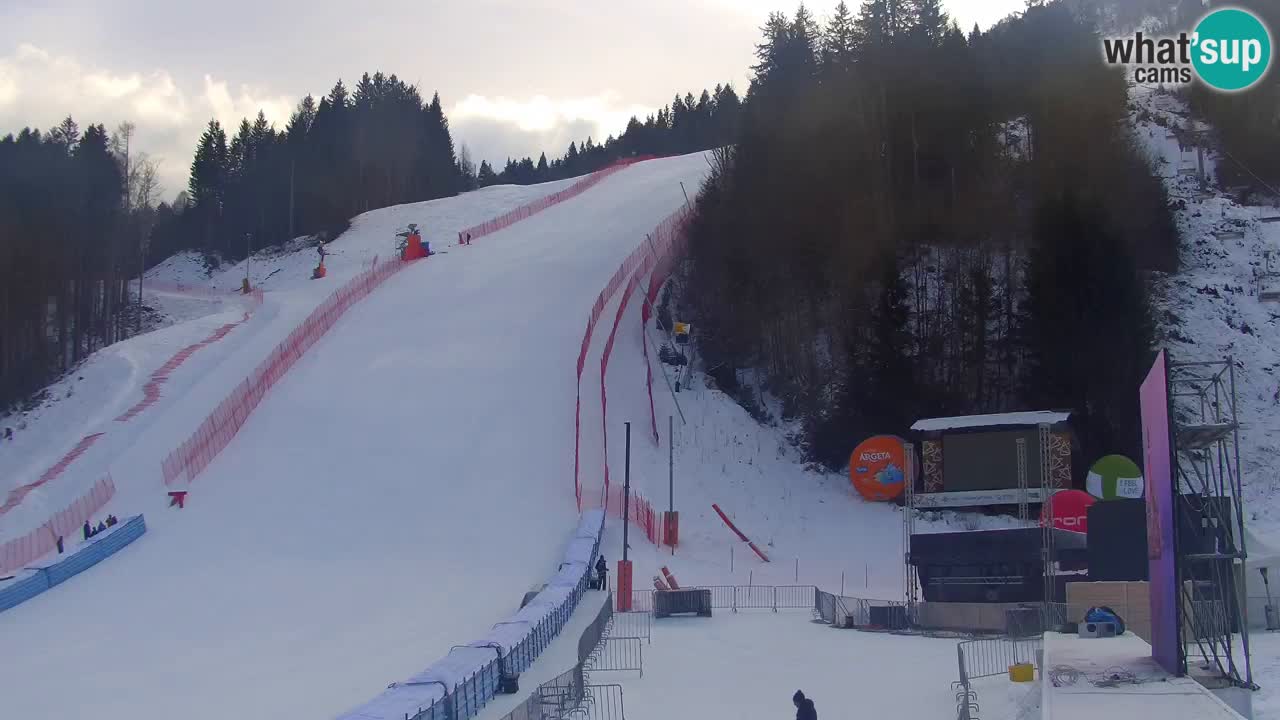 Podkoren – Kranjska Gora – Finish of Giant slalom